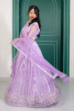 Purple V-Neck Net Lehenga