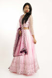 Pink Full Sleeves Net Lehenga with Tassels